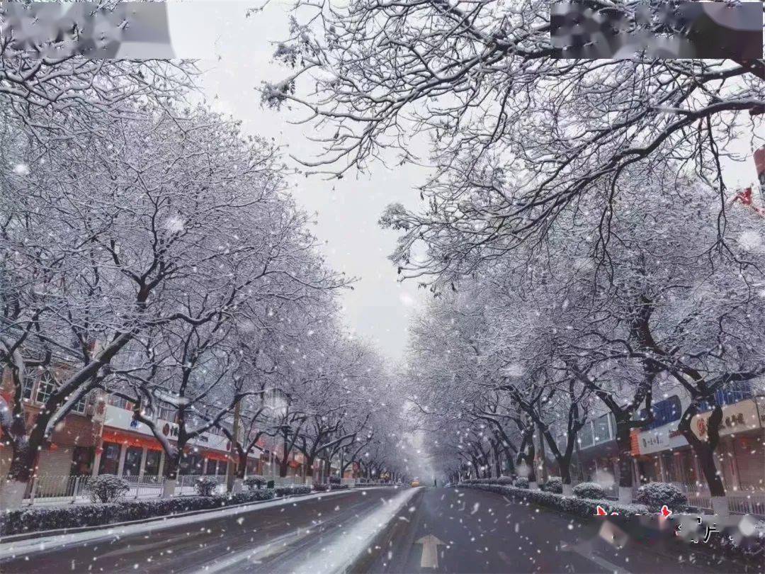 一场秋雪陇原银装素裹本周这些地方还有雨雪天气