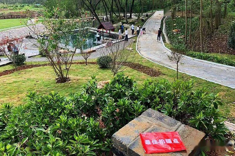 全椒网红路最佳拍摄点出炉怎么拍都美美美