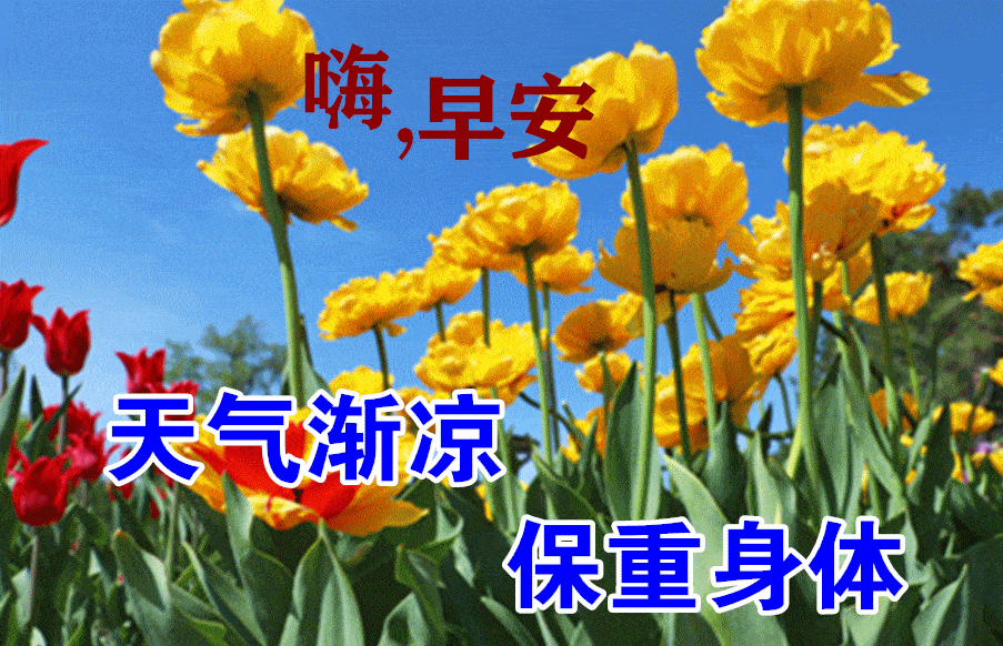 不管相距多远,有你的地方,就有我的祝福,早安,朋友
