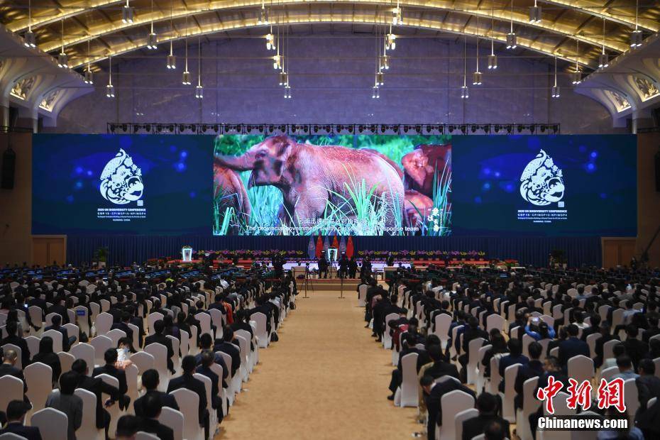 生物多样性公约第十五次缔约方大会在昆明开幕