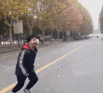 #每日有趣gif图片# 柯基的爱心臀