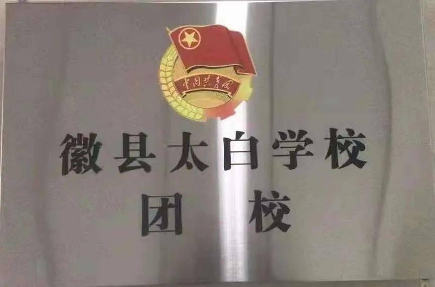 【改革动态】徽县团委积极组织全县中学全面完成团校成立工作!