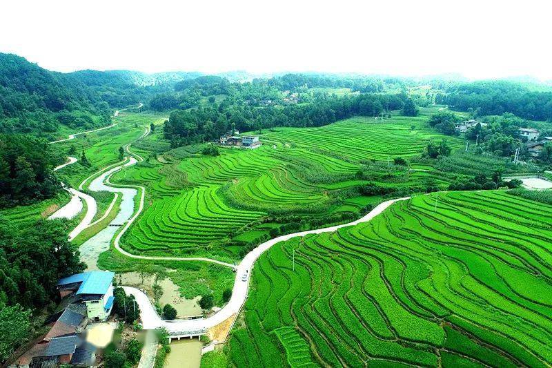 涪陵大顺乡全域土地综合整治获评重庆首届生态保护修复十大案例