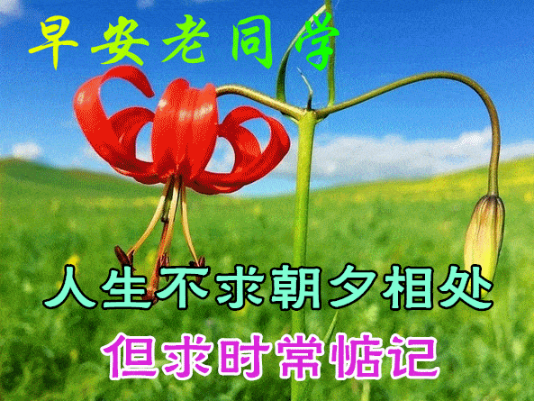 兄弟姐妹,消息祝早上好,愿你微笑这天,愉悦永远!