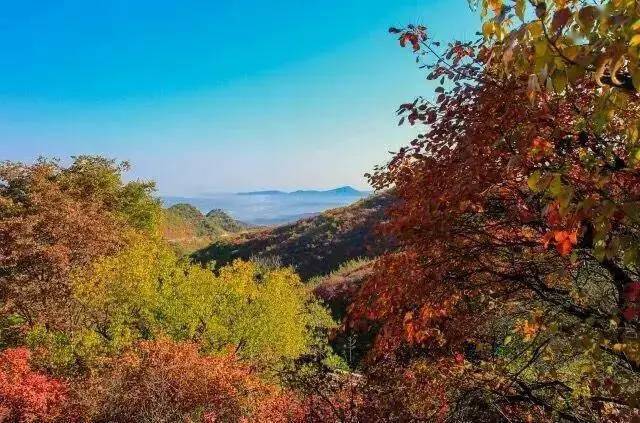 而最让人眼前一亮的,莫过于国家aaaa级景区巩义竹林长寿山景区的万亩