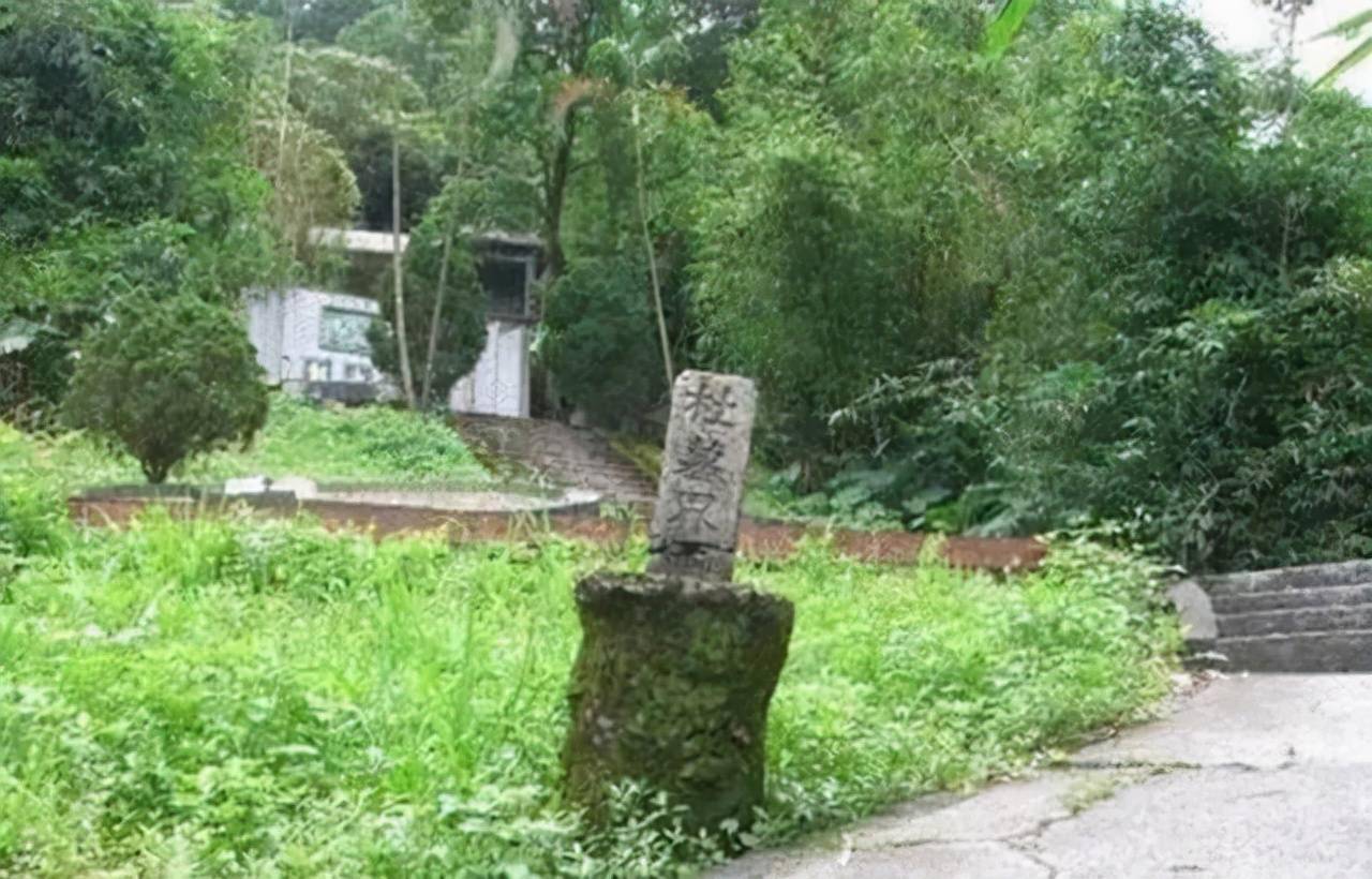 当年杜月笙,张啸林与黄金荣三人在上海平分秋色,说一不二,好