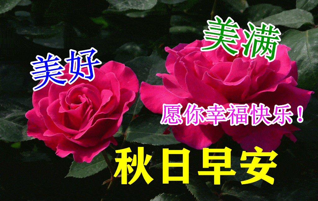 距离太远,相逢总是太难,思念不断,总盼望早日重见,亲爱的朋友,愿你