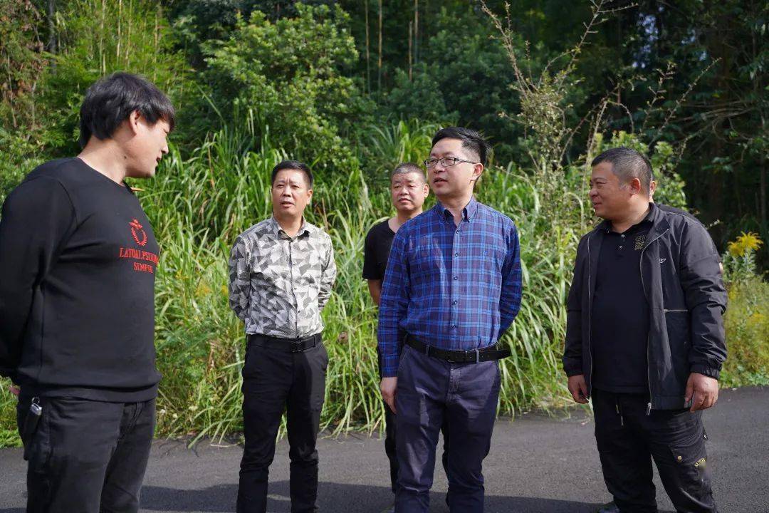 温峤要闻开展农业两区建设暨非粮化整治工作代表视察