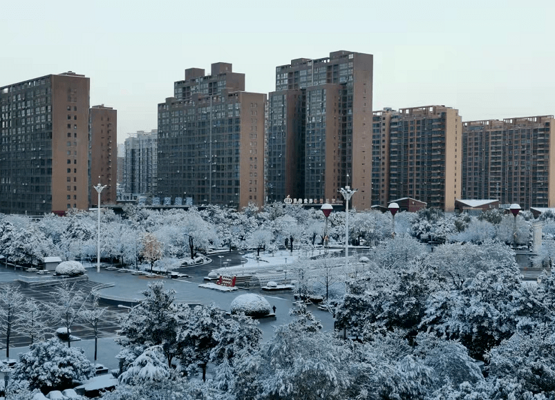 相信刷爆了很多人朋友圈 飞飞扬扬的雪花 让整个宝鸡银装素裹 堆雪人