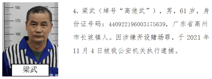 证据,维护自身合法权益;欢迎广大群众积极举报陈洪团伙的违法犯罪行为