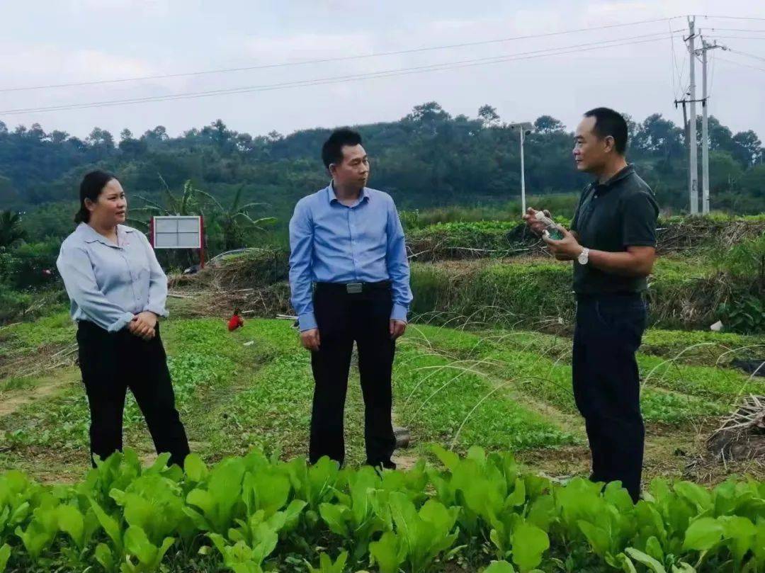 要闻海南日报报业集团党委委员副总编辑彭玉斌一行深入青松乡开展调研