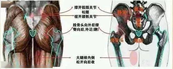 为什么练太极非要活肩开胯揭密开字诀