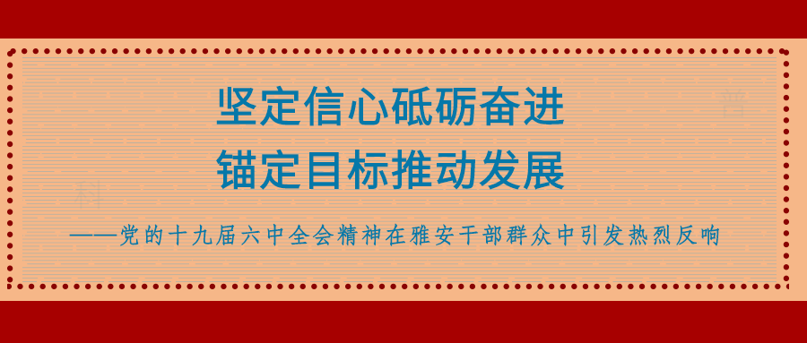 坚定信心砥砺奋进锚定目标推动发展党的十九届六中全会精神在雅安干部