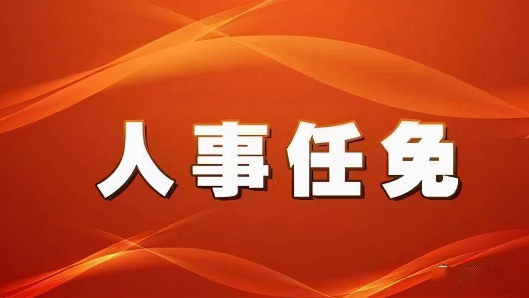 市第十四届人民代表大会常务委员会第四十一次会议表决通过人事任免