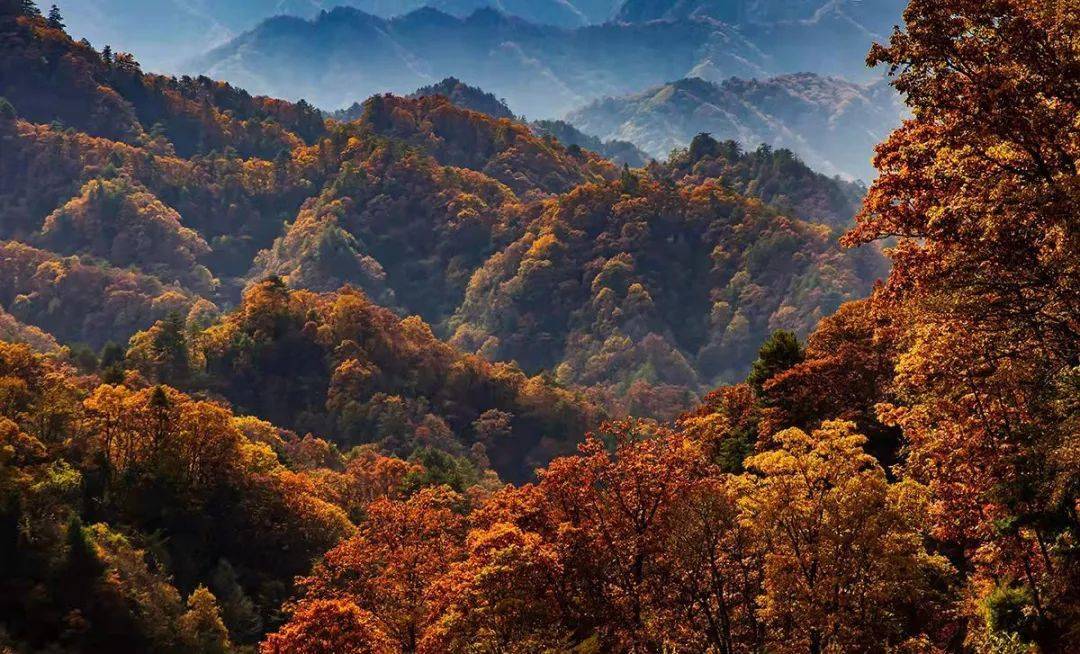 感受熊猫小镇的别样风光 一座山,一道风景 寒冬时节 佛坪的山川更显