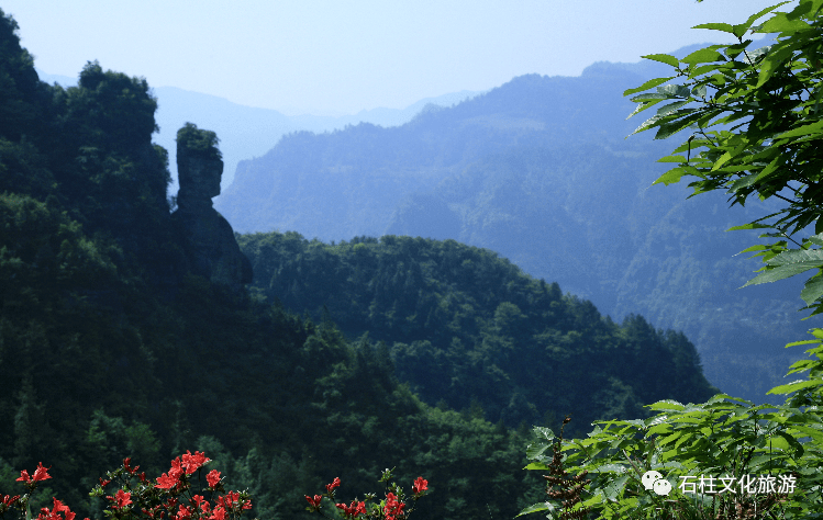 大风堡悬空玻璃廊桥 图源 石柱县文旅委 0 4 1490米 万寿山主峰高度