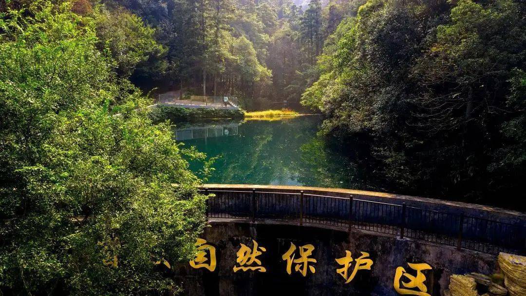 宜兴国家森林公园前身是宜兴林场创办于1950年3月1992年经国家林业部