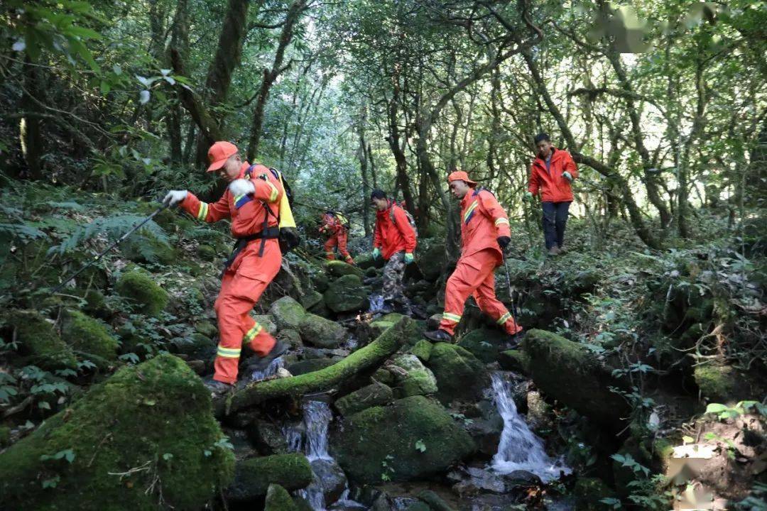 历时9天,云南消防对战恶劣地质全力搜寻哀牢山野外作业失联人员