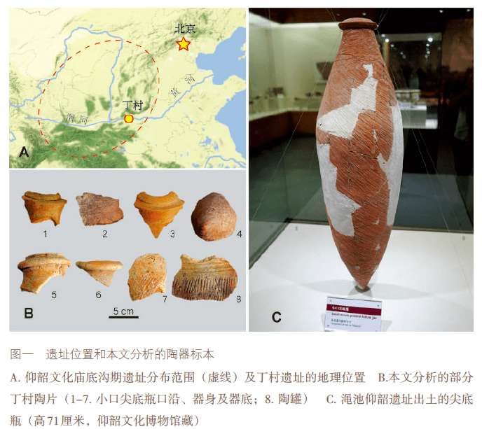闻名于世,黄淮流域最早的酒遗存可追溯到9000年前的河南舞阳贾湖遗址