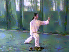终于来了您要的太极拳四十二式动图全解都在这里了