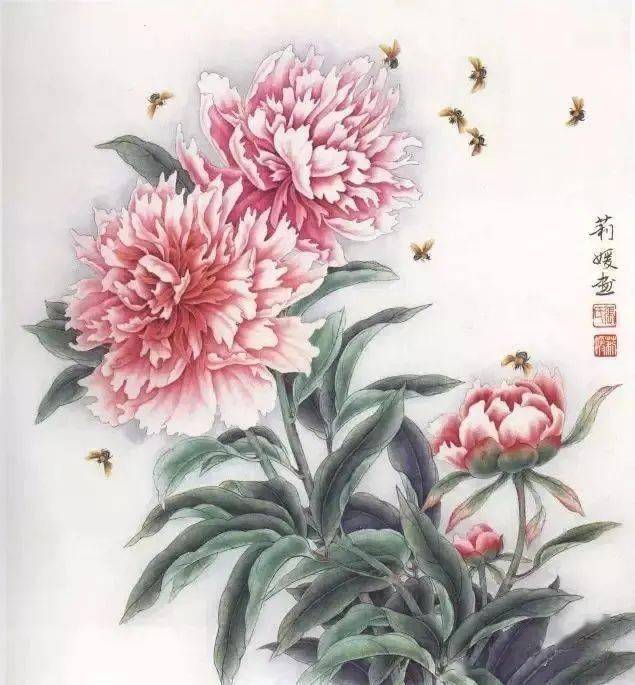 下面再分享一组白描芍药画稿,素材来源:《白描花卉 芍药 herbaceous