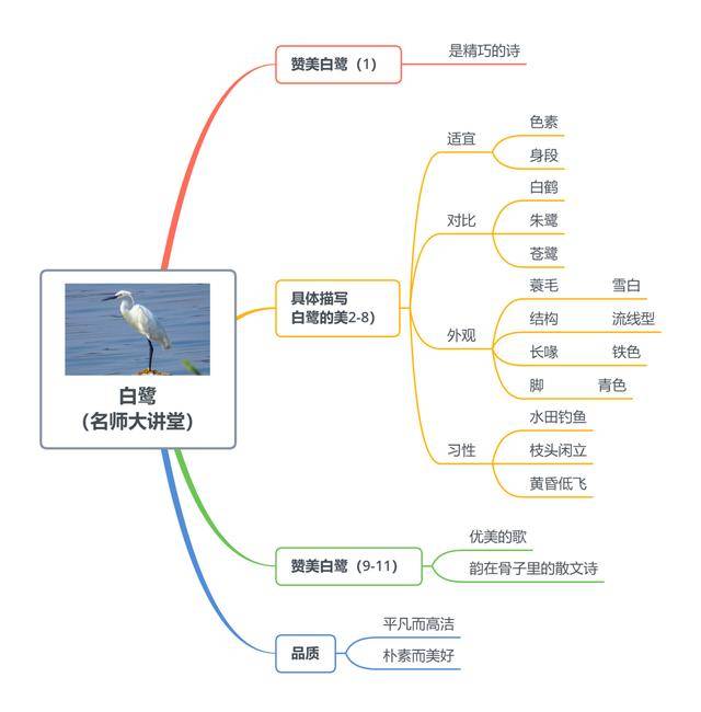 思维导图:《白鹭 》本篇是{五年级语文思维导图与重点知识}第一节.