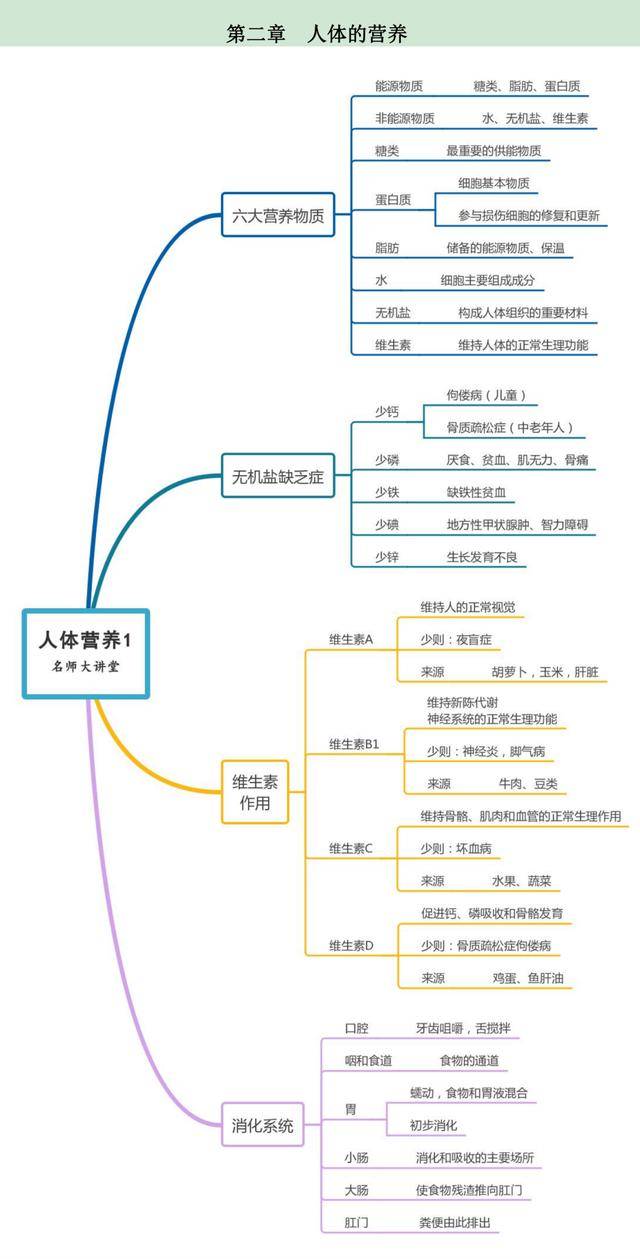 收好这9张七年级下册生物思维导图,帮你牢记知识点