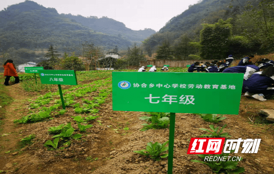 张家界市武陵源区协合乡中心学校劳动教育基地挂牌成立