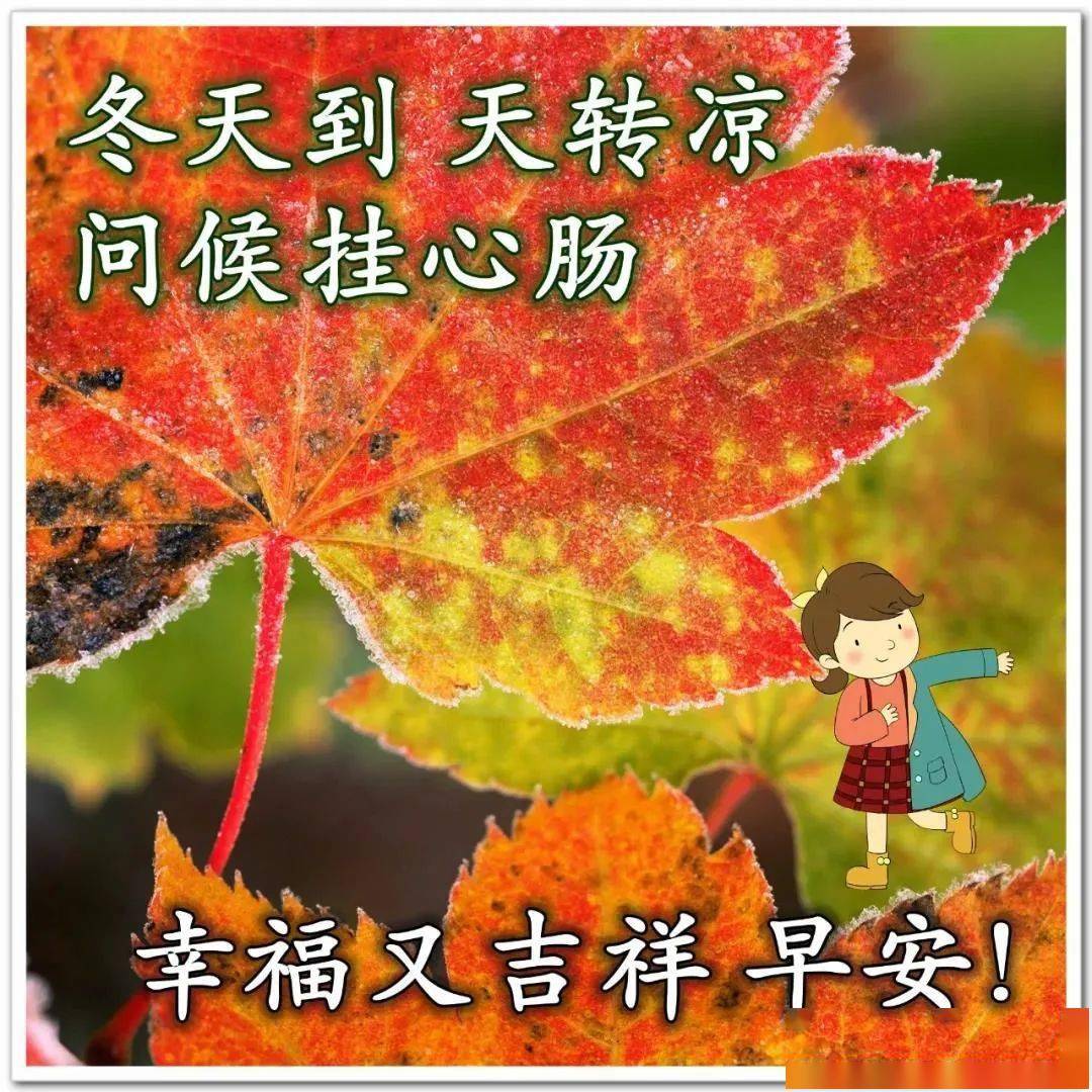 12月2日寒冬漂亮好看的早上好祝福语动态图片表情,好!