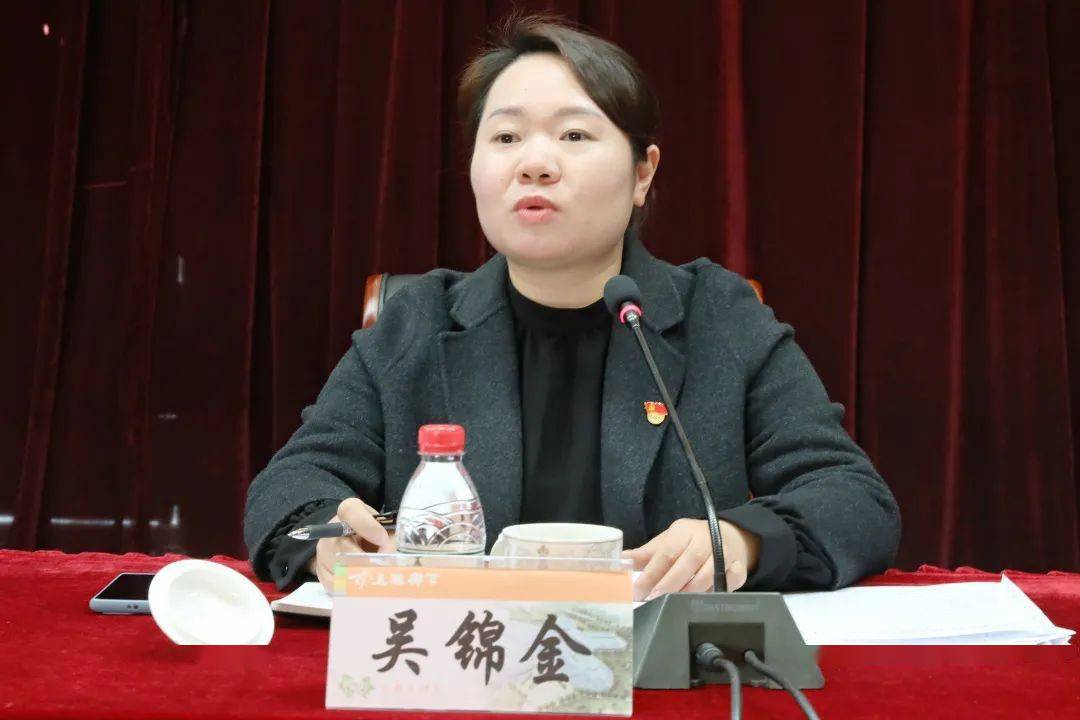 镇党委委员,党史学习教育领导小组副组长,办公室主任吴锦金总结第二