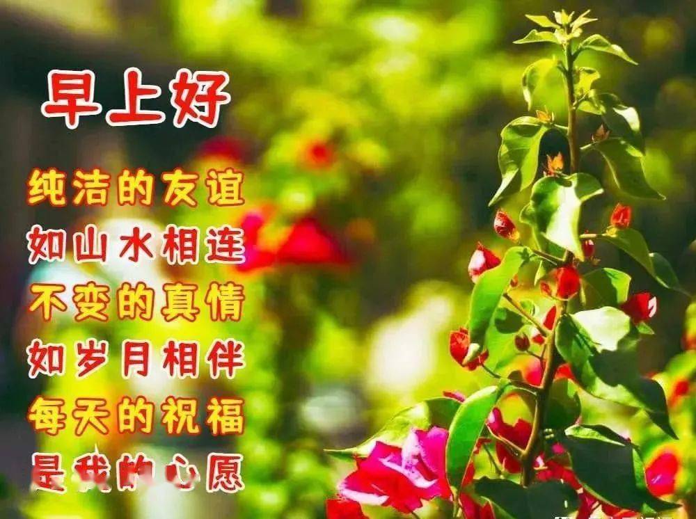 早上好表情包祝大家知足常乐心想事成