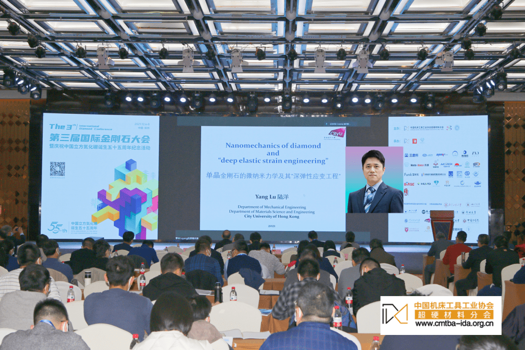 香港城市大学机械系教授 陆洋