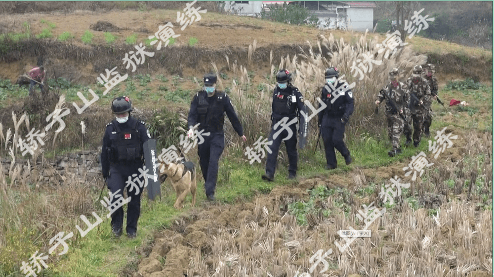 轿子山监狱开展罪犯防逃制逃演练_处置_公安_驻监