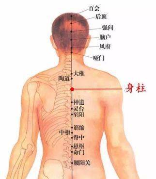 那是因为你没坚持!_背部_艾灸背_阳气