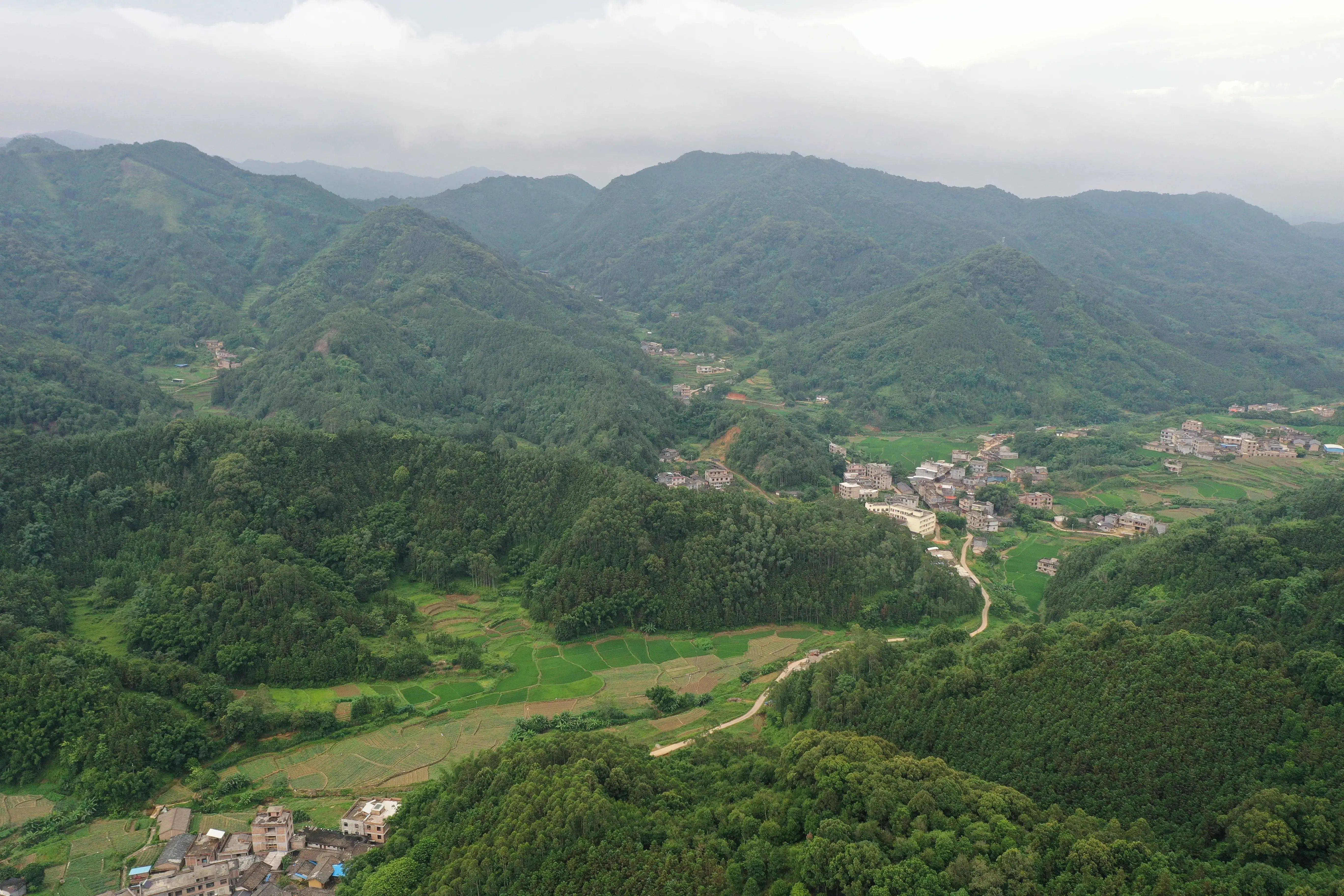 她,就是广西博白县永安镇新祥村.