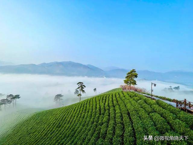 信阳茶山云海美如仙境