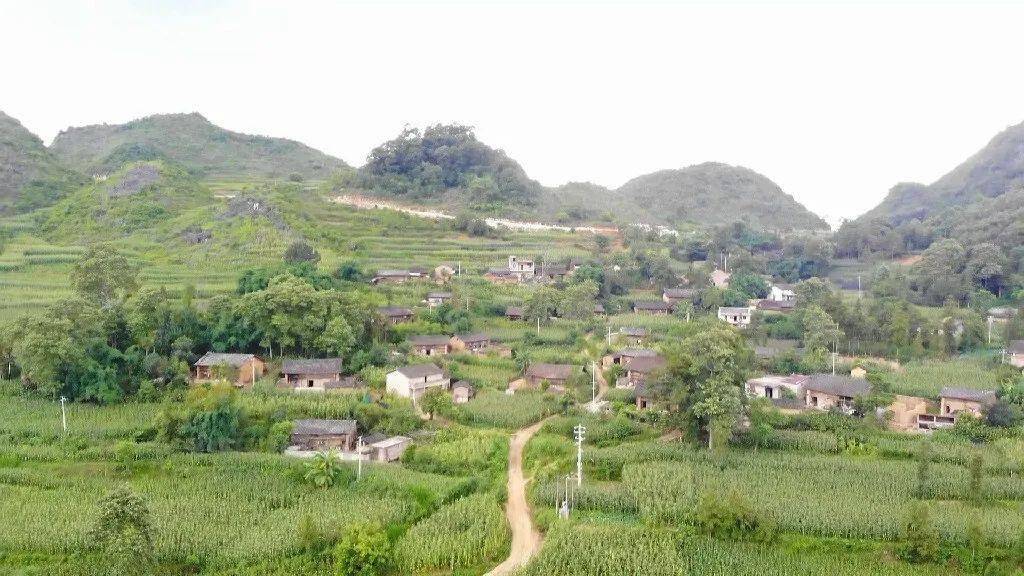 近年来,广南县八宝镇坚持把民族团结进步创建作为推动本镇经济科学