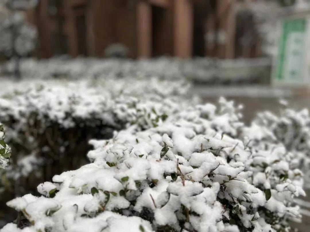 长沙,下雪了!_摄影_小布_网友