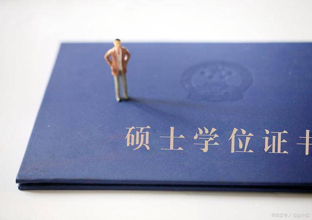 应聘学位证书电子版 来自搜狐网