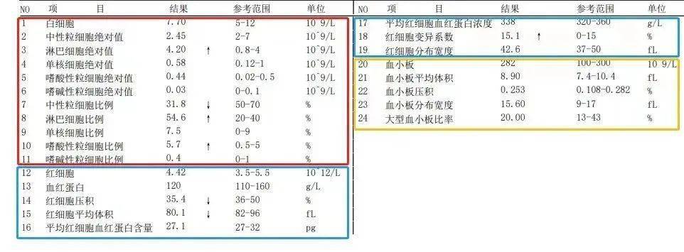 在血常规化验单上,这几类指标很好区分:白细胞就是从"白细胞"开始,到"