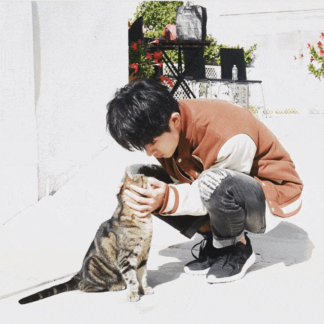 易烊千玺关于爱宠的回答启发别样生活惊喜