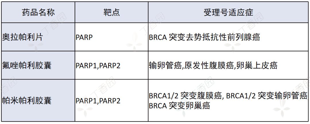 适应症_上市_谈判