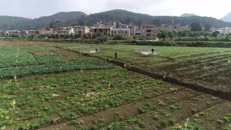 来源:视听文山,如有侵权请联系我们予以删除,转载请注明出处,谢谢!