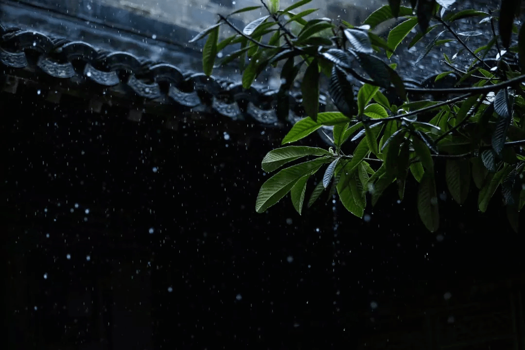 古琴版相思风雨中难解百般愁相知爱意浓