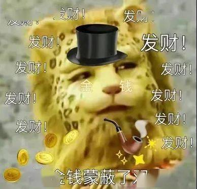 换这个头像就能暴富火遍朋友圈的金钱豹头像来了