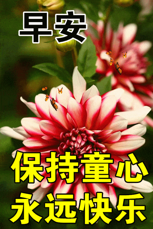 1月21日最漂亮早上好动态表情图片大全,早晨好动图美图大全_祝福_朋友
