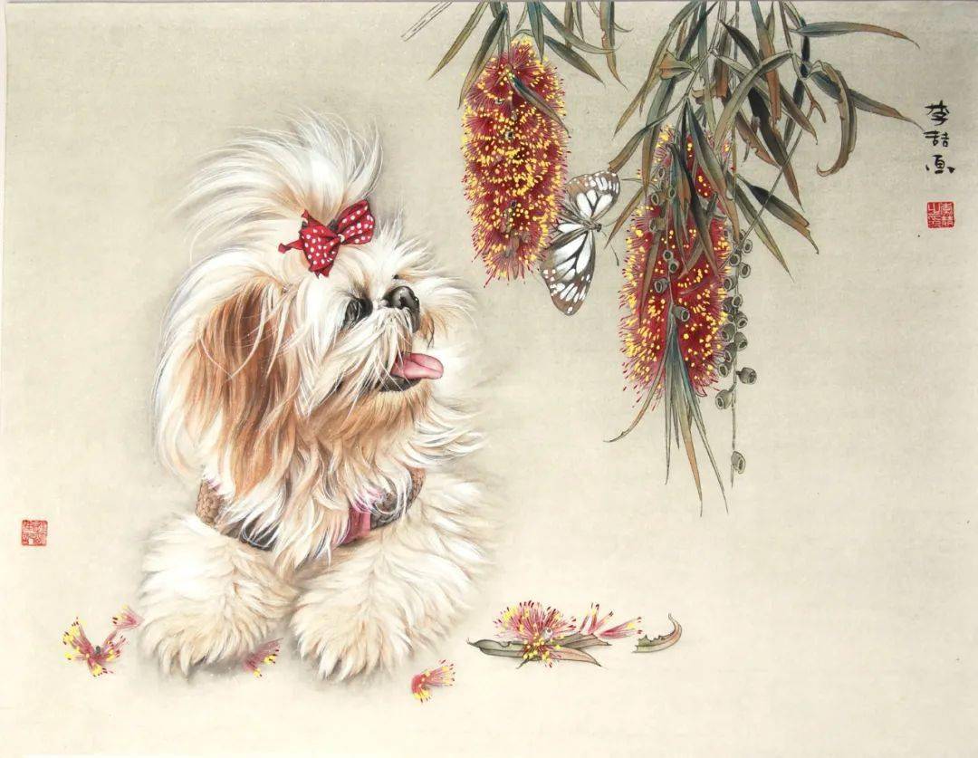 《西施犬》绘制步骤示范_小狗_铅笔_背景