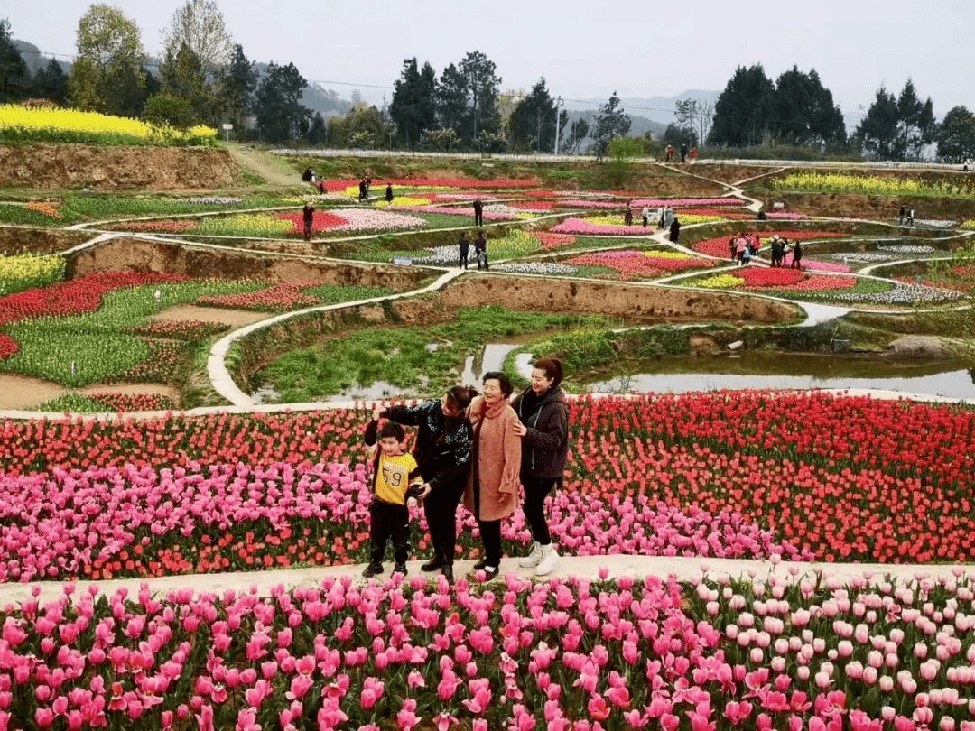 "巴州年味"2022年景区景点新春福利大放送!_巴中_花海_巴山