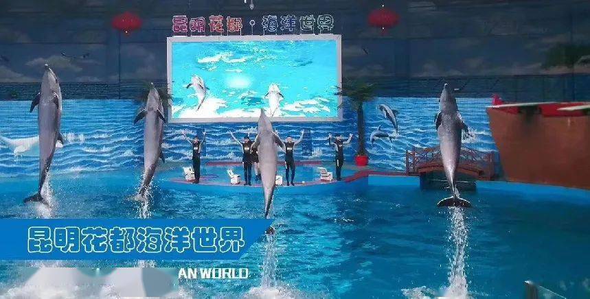 新春钜惠昆明花都海洋世界春节攻略隆重上线
