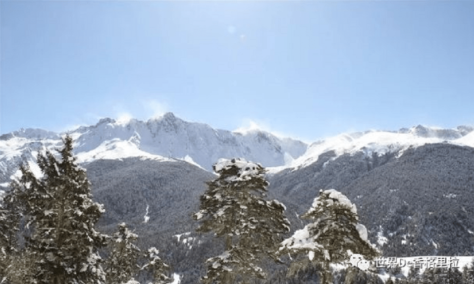 以雪之名,贺新春_云南_轿子雪山_地区